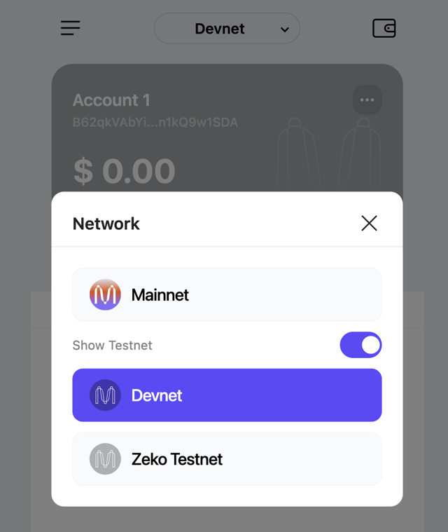 Enable testnets on Auro